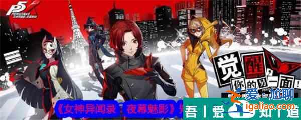 女神异闻录夜幕魅影知识怎么提升 知识提升攻略？