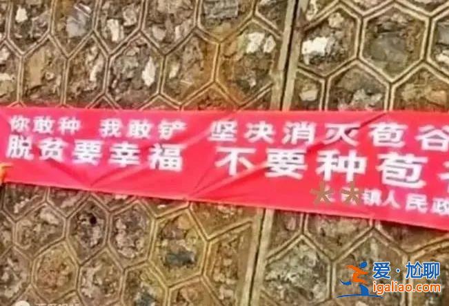 狂妄的“8亿书记” 被查当月还在贪？