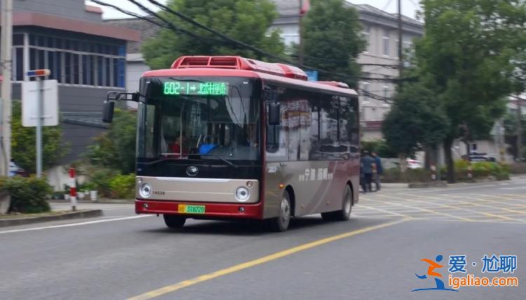停运停航？