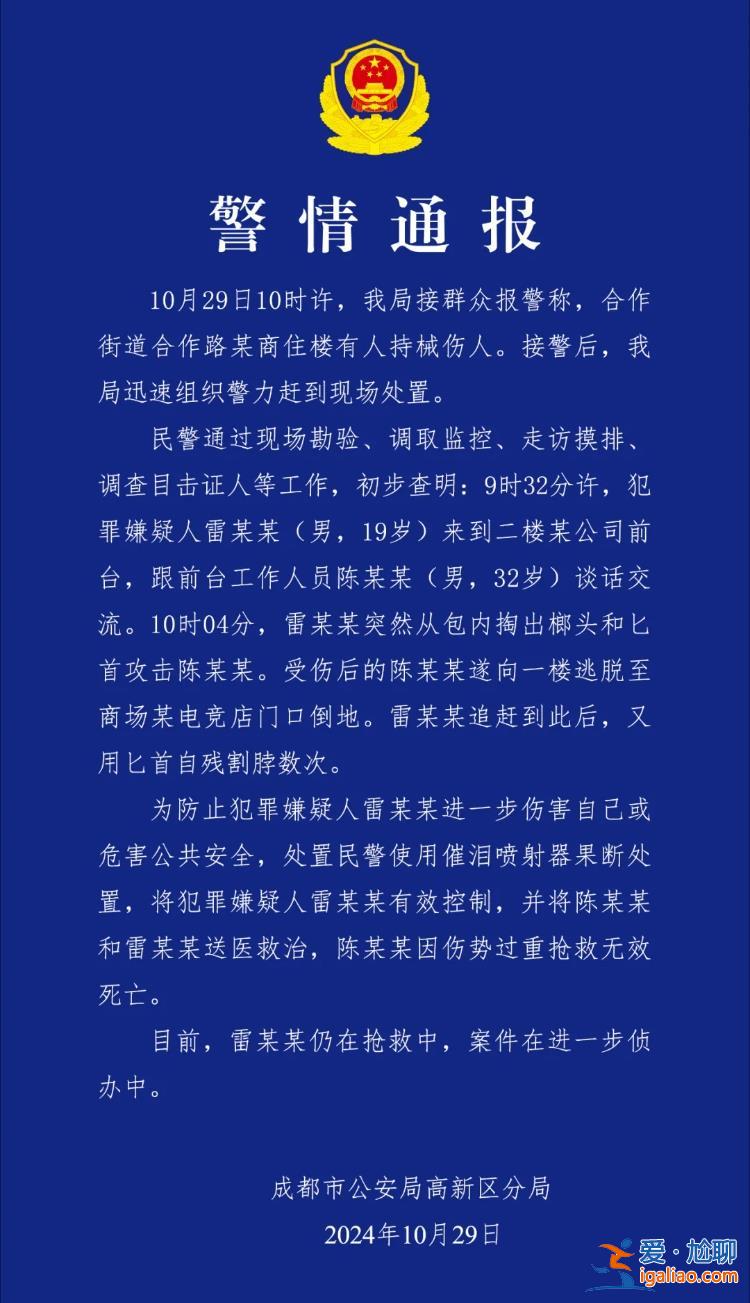 男子持械伤人事件不存在克扣工资问题 两人传谣被拘十日？