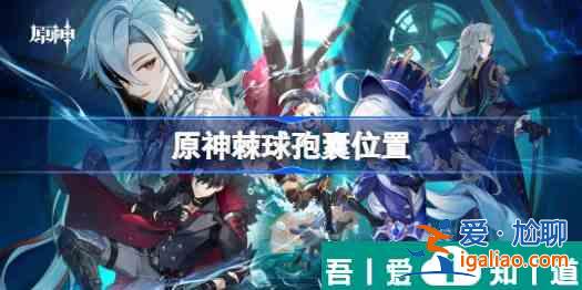 原神棘球孢囊在哪 具体一览？