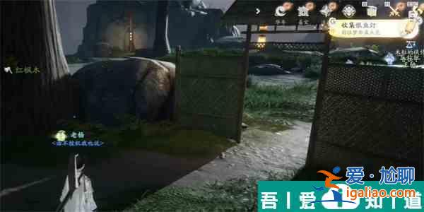 射雕手游银鱼灯怎么收集 射雕银鱼灯收集攻略？
