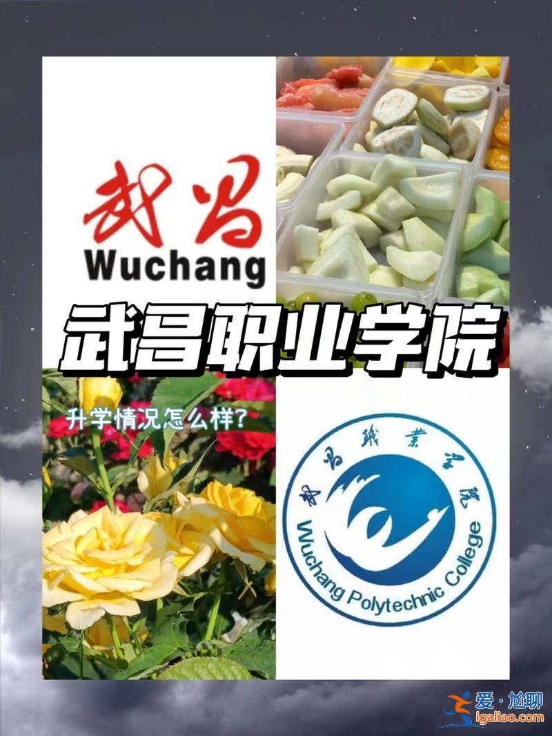 武昌职业学院对口升学专业 武昌职业学院每个专业的录取的分数相同吗？