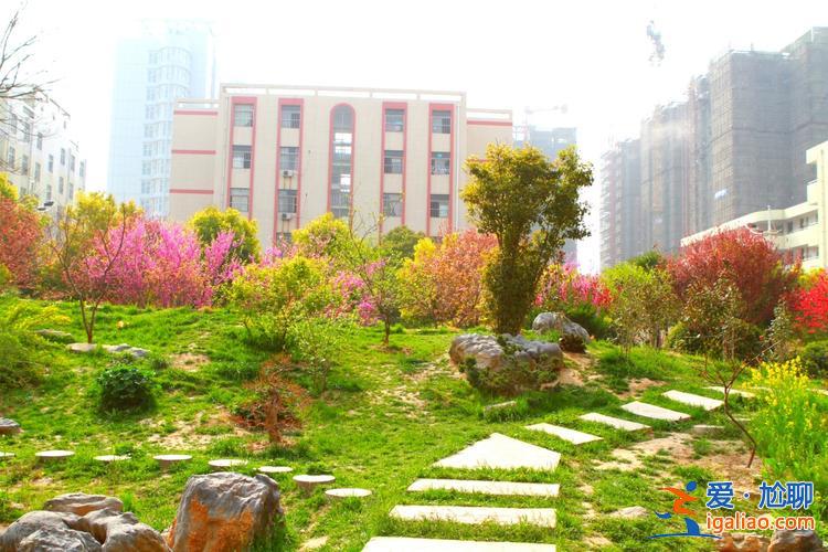 蚌埠初中提升学历机构 蚌埠龙湖实验学校怎么样？