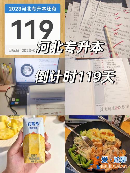 专升本放假吗，专升本的学校中秋放假吗？