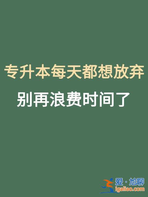 我是专升本，专升本之后，你们都去做了什么？