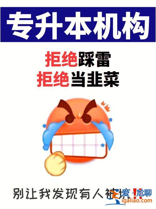 韭菜姐专升本 “割韭菜”有什么含义？