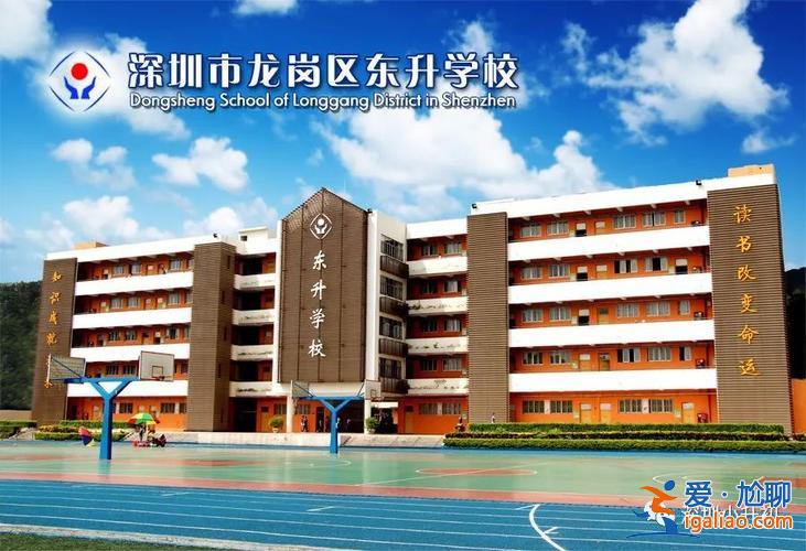 东升学校国际班 东升国际教育咨询有限公司怎么样？