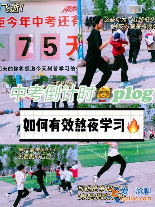 银川中考升学率？阅海二中今年中考升学率？