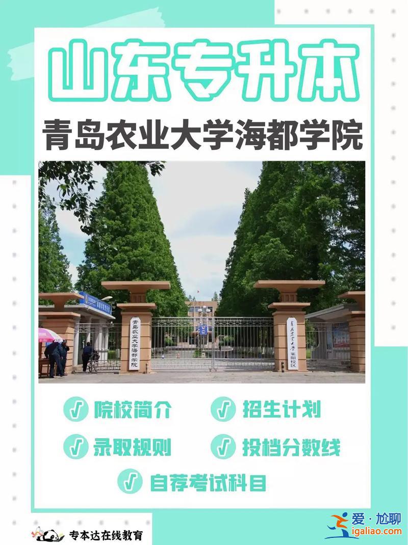 国办专升本，青岛康复大学招专升本吗？