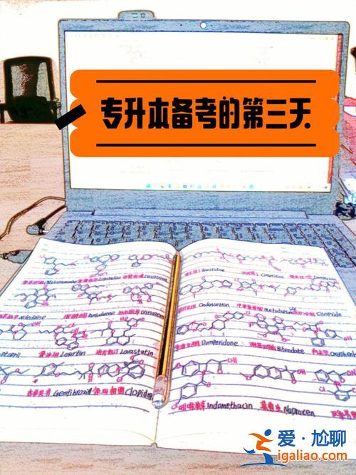 专升本弥补(专升本还剩一年怎么准备)？
