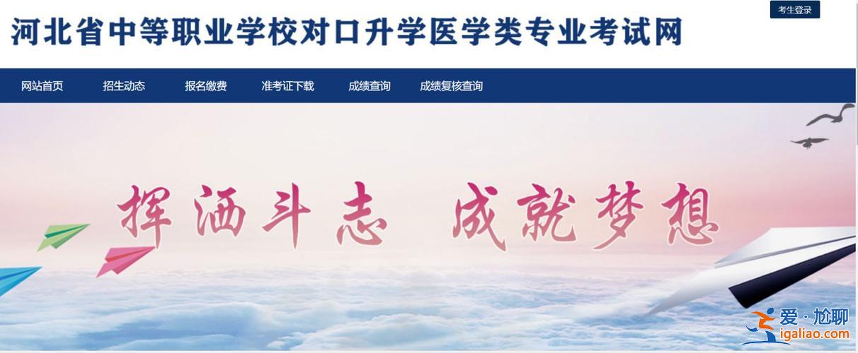 河北新高考升学指导手册，2024年河北医学对口升学考试大纲。？