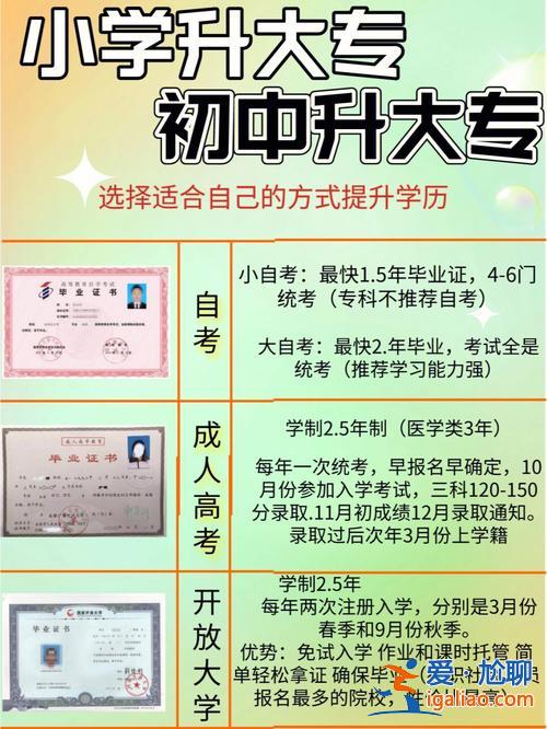 初中毕业提升学历步骤图 初中毕业的怎么提升学历？