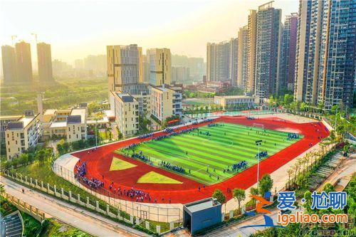 2019华师附中升学率，华南师范大学附属惠阳学校升学率？