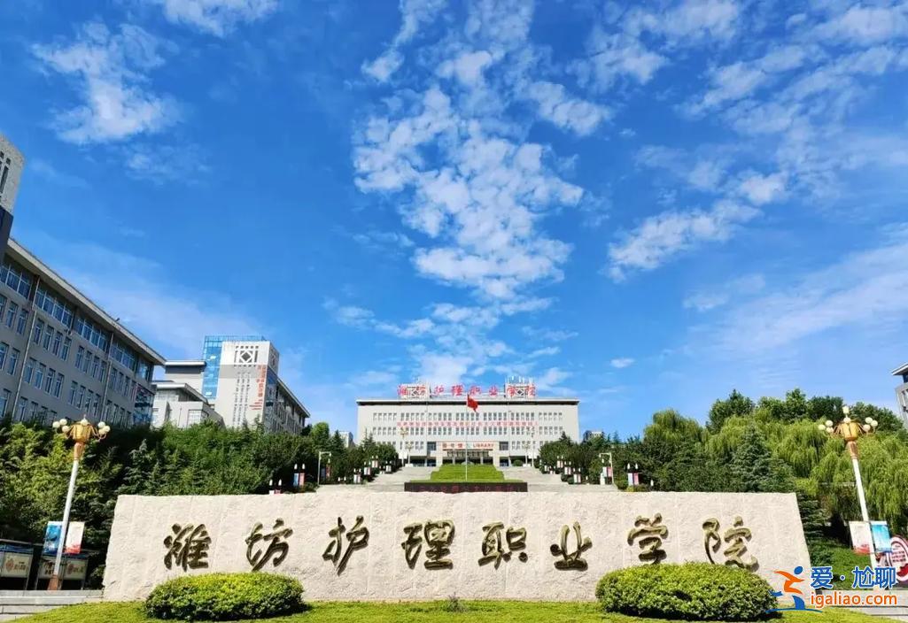 潍坊专本提升学历网站？潍坊护理职业学院官网？