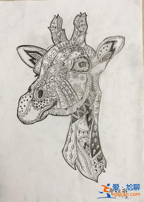 金华初中升学暑假班有哪些，金华有没有素描的暑假班？