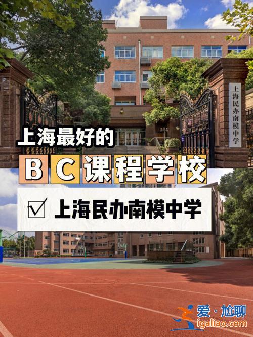 上海南阳模范中学对口升学(上海莘庄中学和南洋中学哪个好)？