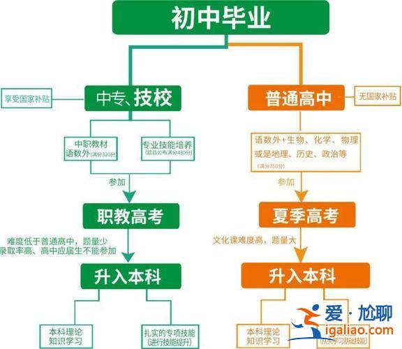 职教的升学方向有哪些学校 长沙职教高考班能考什么大学？
