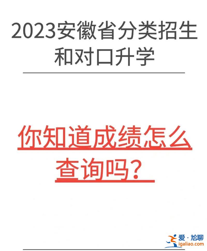 对口升学成绩 2023年对口成绩怎么查？