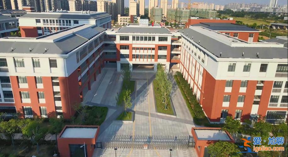 合肥高新实验小学升学率？高新实验中学初中部怎么样？