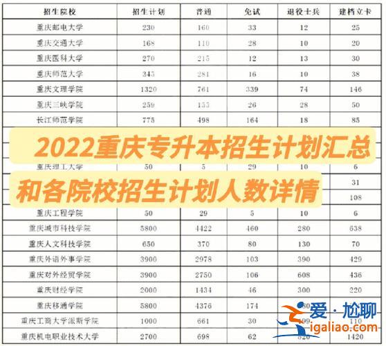 重庆市专升本院校(重庆哪些学校可以专升本)？