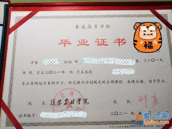 网络教育专升本认可吗 网络教育专升本含金量怎么样，事业单位承认吗？