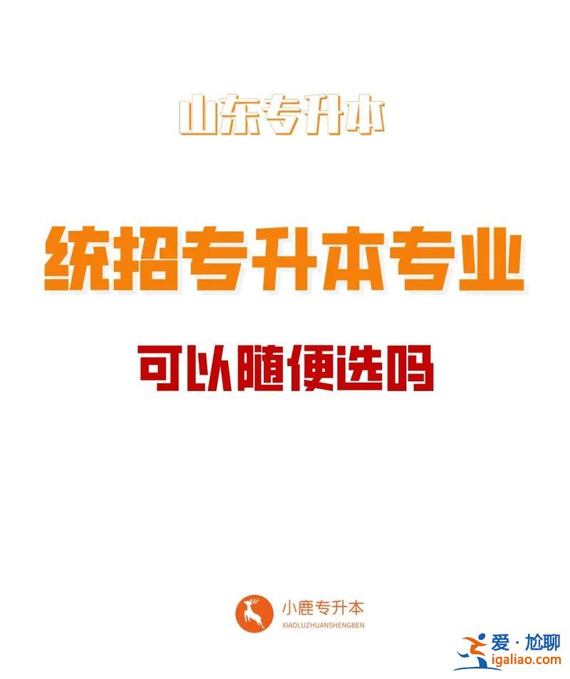 毕业后可以专升本吗 专转本可以参加校招吗？