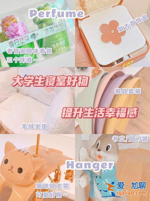 提升学习幸福感好物 宿舍幸福感好物？
