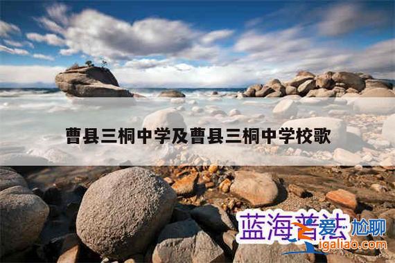 园三升学率 三桐的升学率在全省第几？