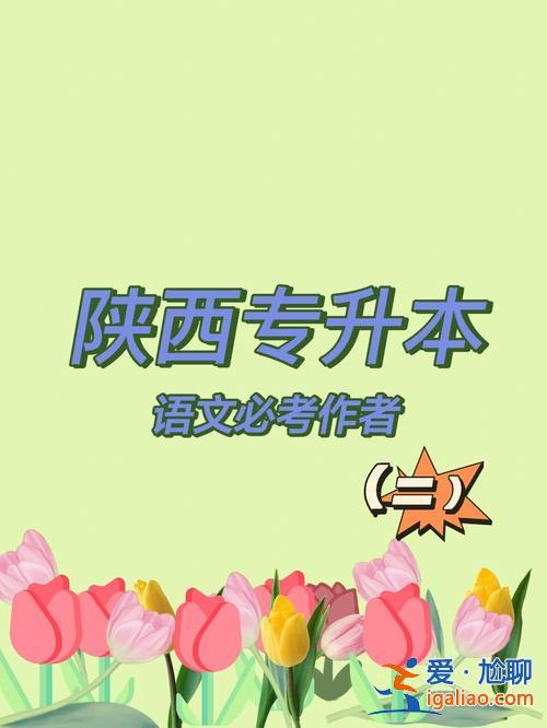 语文教育专科专升本 专科小学语文教育升本可升哪些？