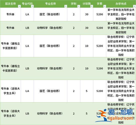 沈阳专升本机构升学率，沈阳专本连读学校？