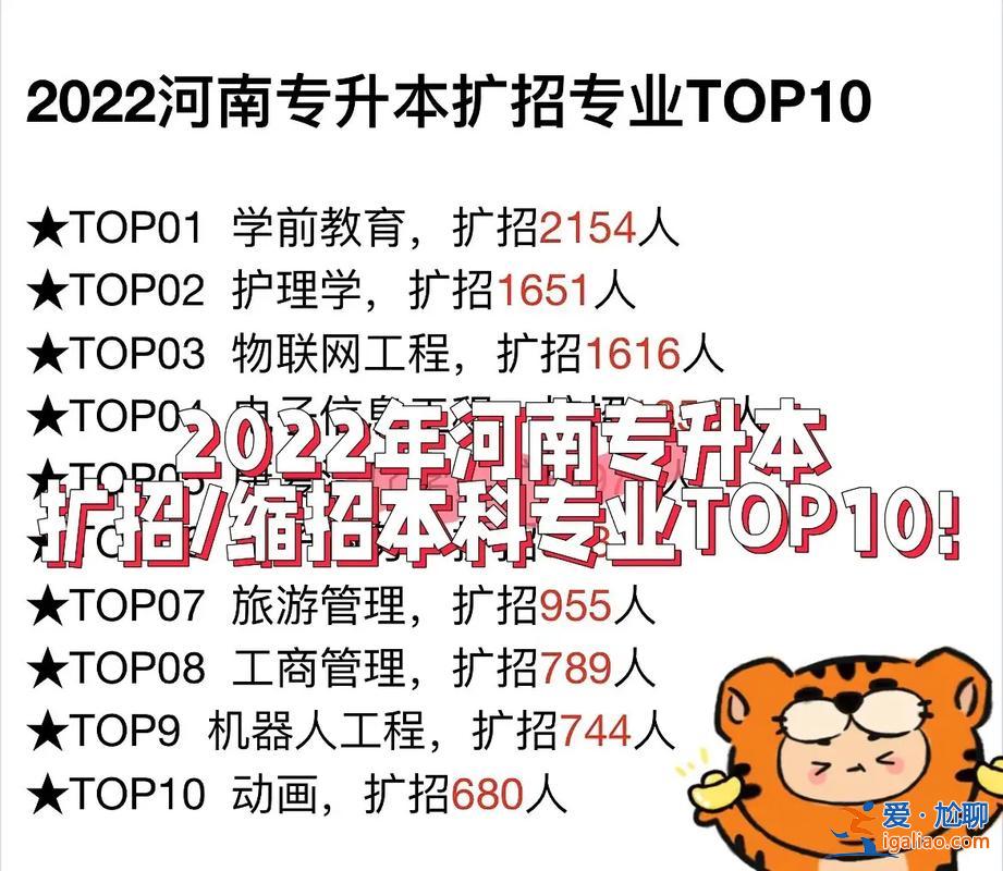 河南专升本报考专业，河南专科选什么专业容易升本？