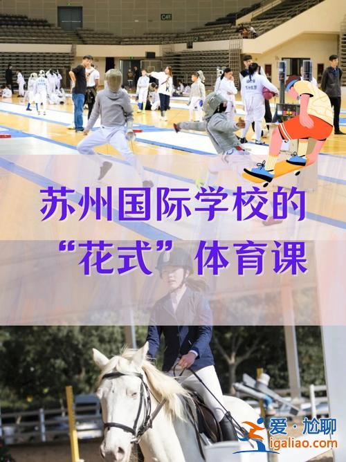 北外苏州湾小升初升学率(北外苏州湾外国语学校入学考试难吗)？