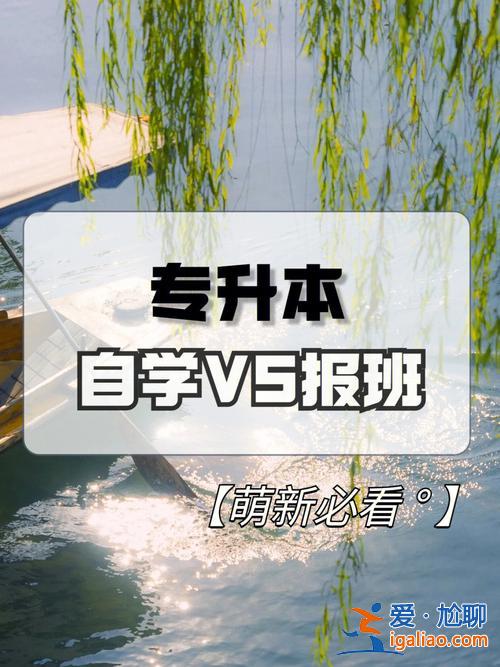 济南明智专升本好吗 山东专升本辅导机构哪个好？