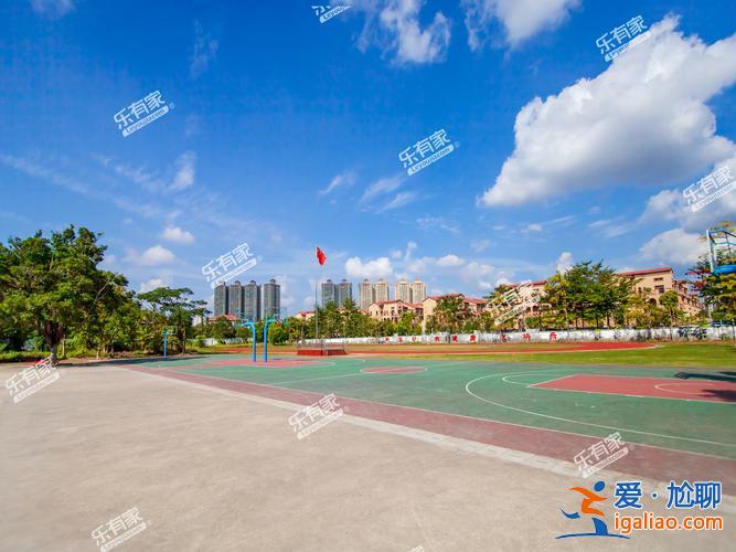 大亚湾龙山中学升学率(惠州大亚湾民办小学有哪些)？