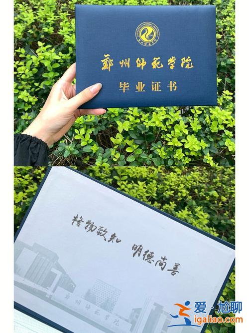 师大专升本吧，专升本郑州师范好不好？