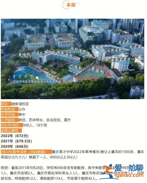 深圳育才龙珠学校升学率，重庆九龙珠学校有哪些？