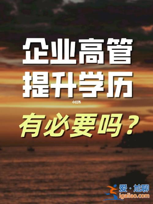公司高管提升学历 关于高管学历要求的问题？