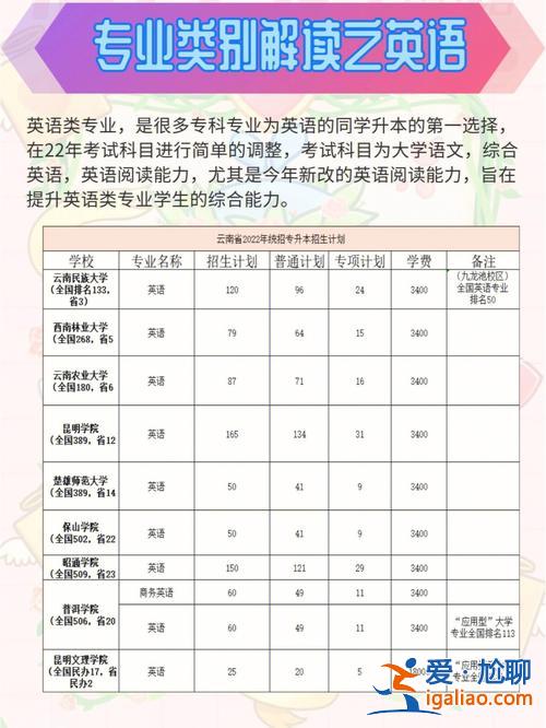 专升本英语师范专业，旅游英语升本科可以升哪些专业？