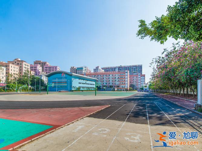 福永凤凰小学升学率(深圳福永凤凰小学是公立的吗)？