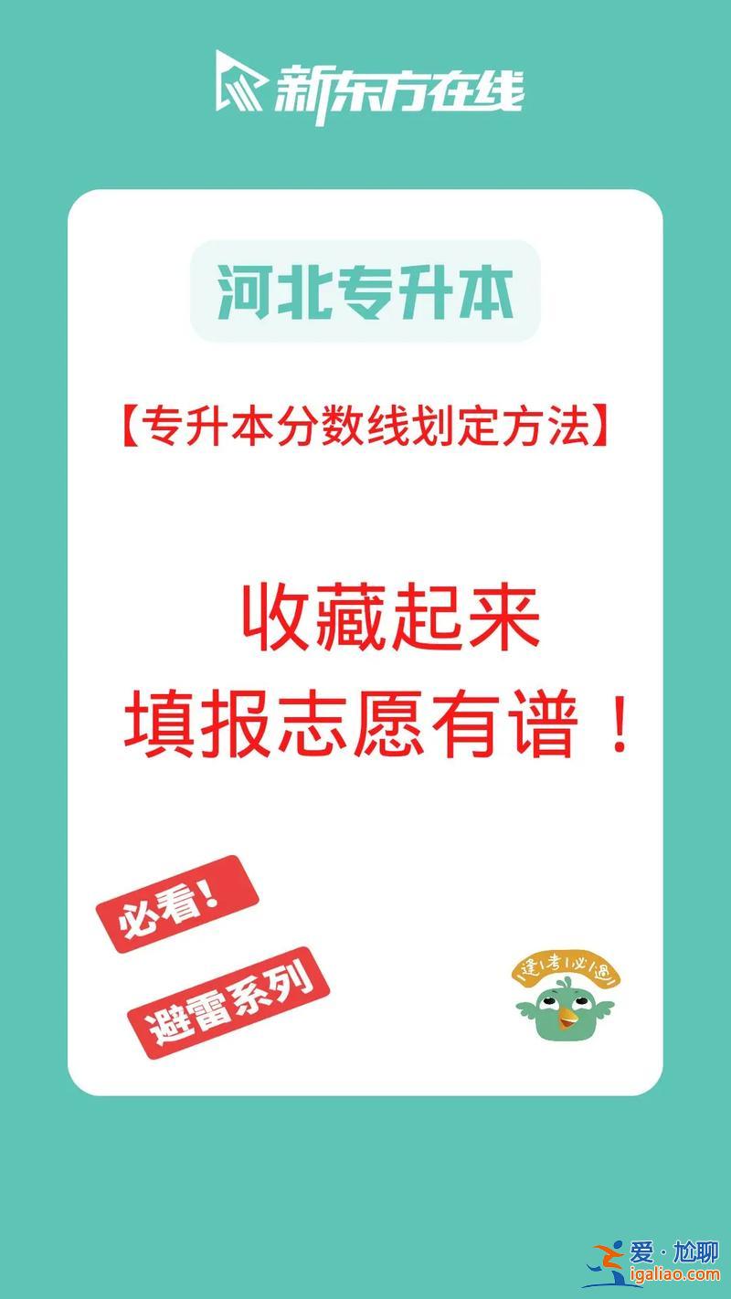 专升本志愿录取规则 专升本录取流程？