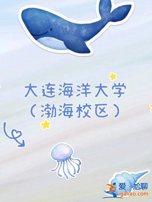 大连海洋大学升学途径分析，大连海洋大学航海技术怎样好就业大连海洋大？