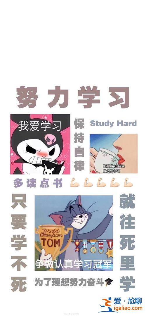 提升学习效率的壁纸，有没有可以激励自己学习不要贪图享乐的话或壁纸？