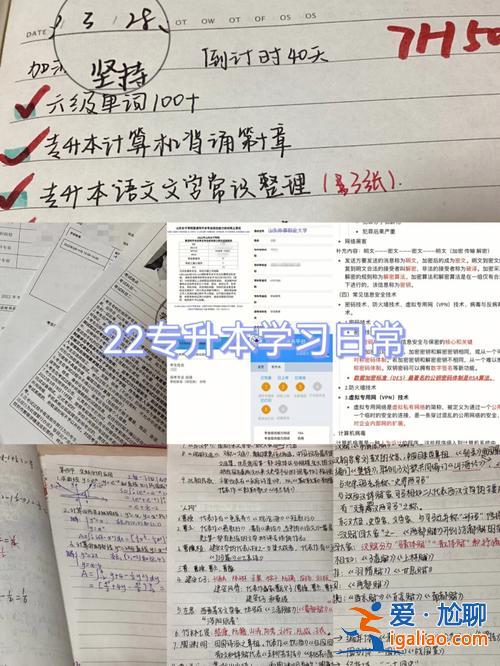 财大胖叔叔专升本(江西财大专升本报名有多少)？