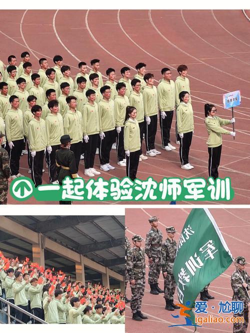 沈师升学率？沈师附中初中部怎么样？