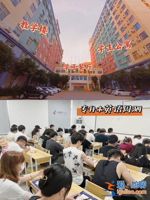 青岛专升本辅导机构(青岛市专升本培训机构哪家比较好)？