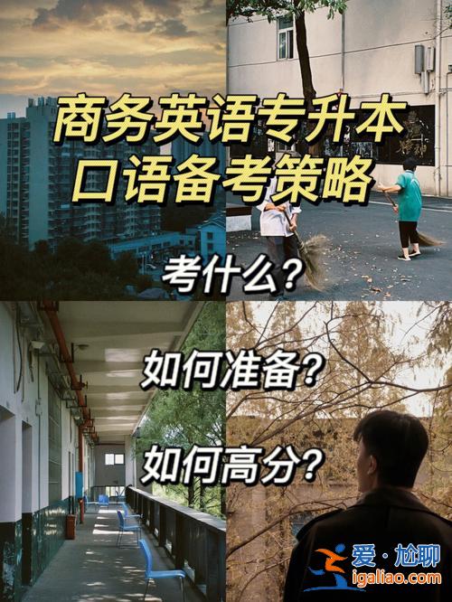 英语系专升本 商务英语好升本吗？