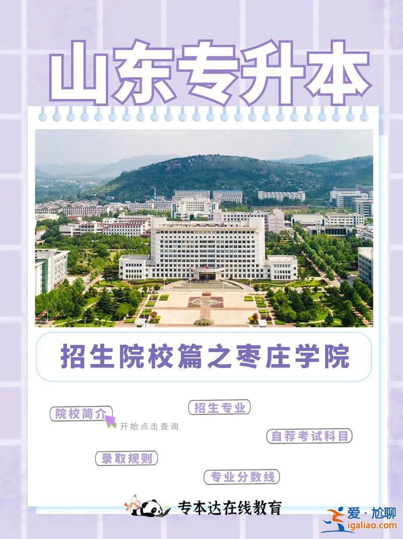 山东枣庄退役士兵提升学历？亲们，山东的枣庄学院，这所大学怎么样谢谢？