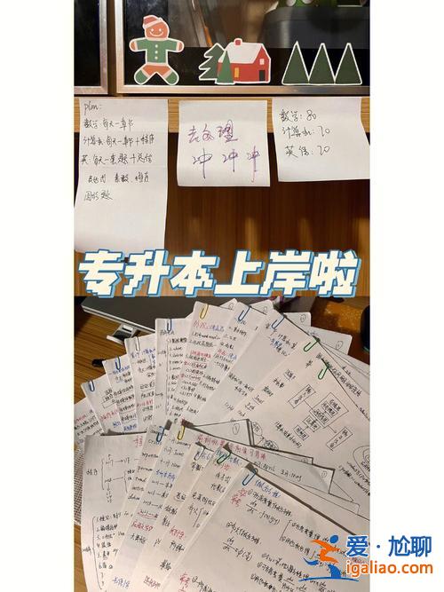 河北专升本吧(专升本上岸是什么意思)？
