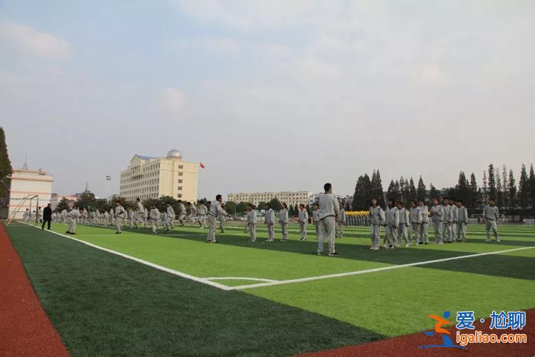 淹城升学率，卢家巷实验学校升学率多少？